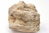 Devonian Petrified Wood From Oklahoma - Oldest True Wood #198033-2